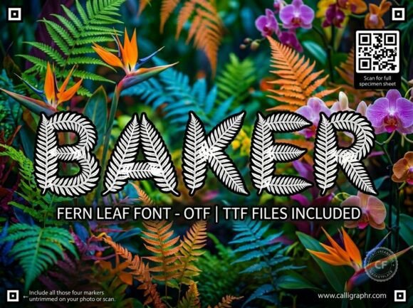 Baker: The Avant-Garde Display Font for Commanding Designs