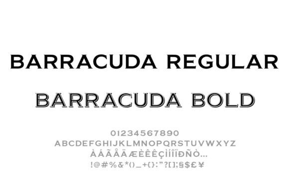 Barracuda Display: The Serif Font with Serious Character